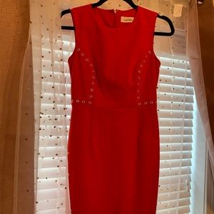 Calvin Klein Dress